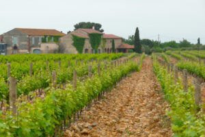 Vins du Roussillon - Mas Baux Grand Red