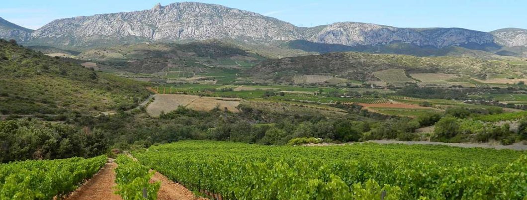 Vignerons de Tautavel Vingrau | Cabrils